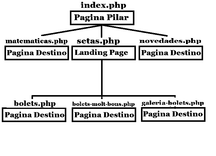 icon-0-Estructura-de-Ejemplo.jpeg