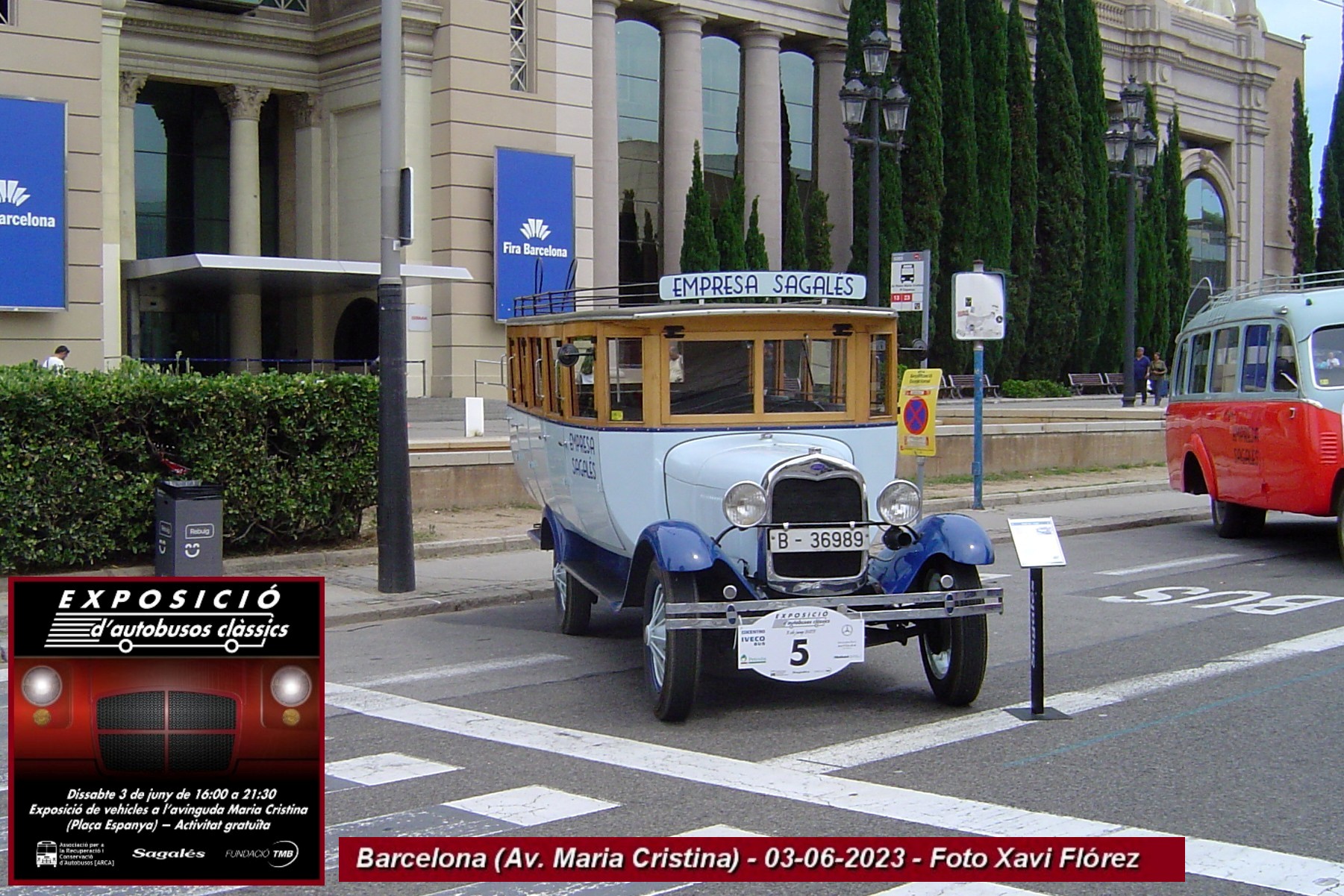 icon-5_DSC00286.JPG