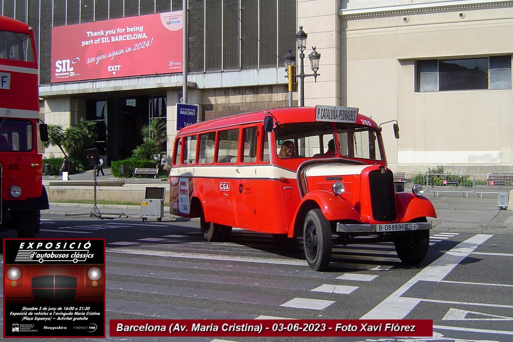 icon-7_DSC00195.JPG