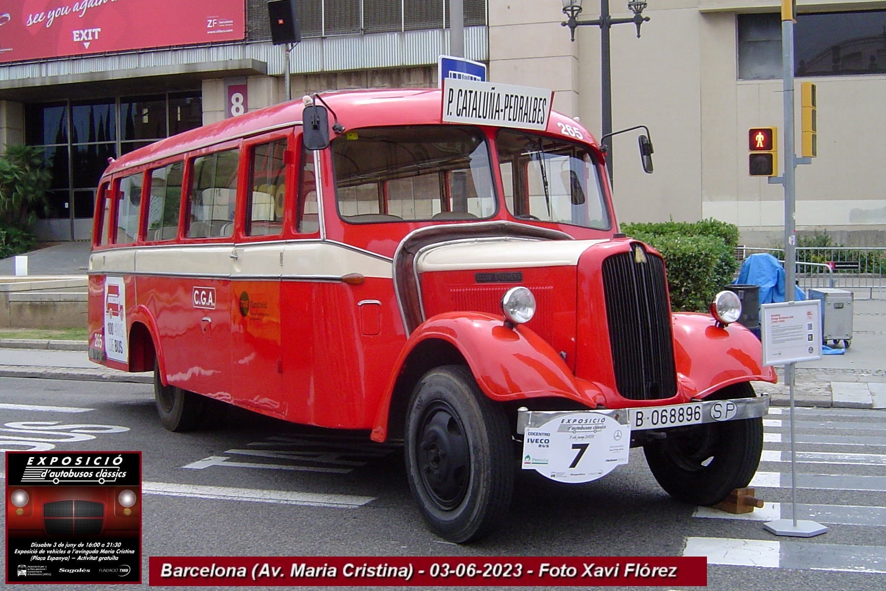 icon-7_DSC00287.JPG
