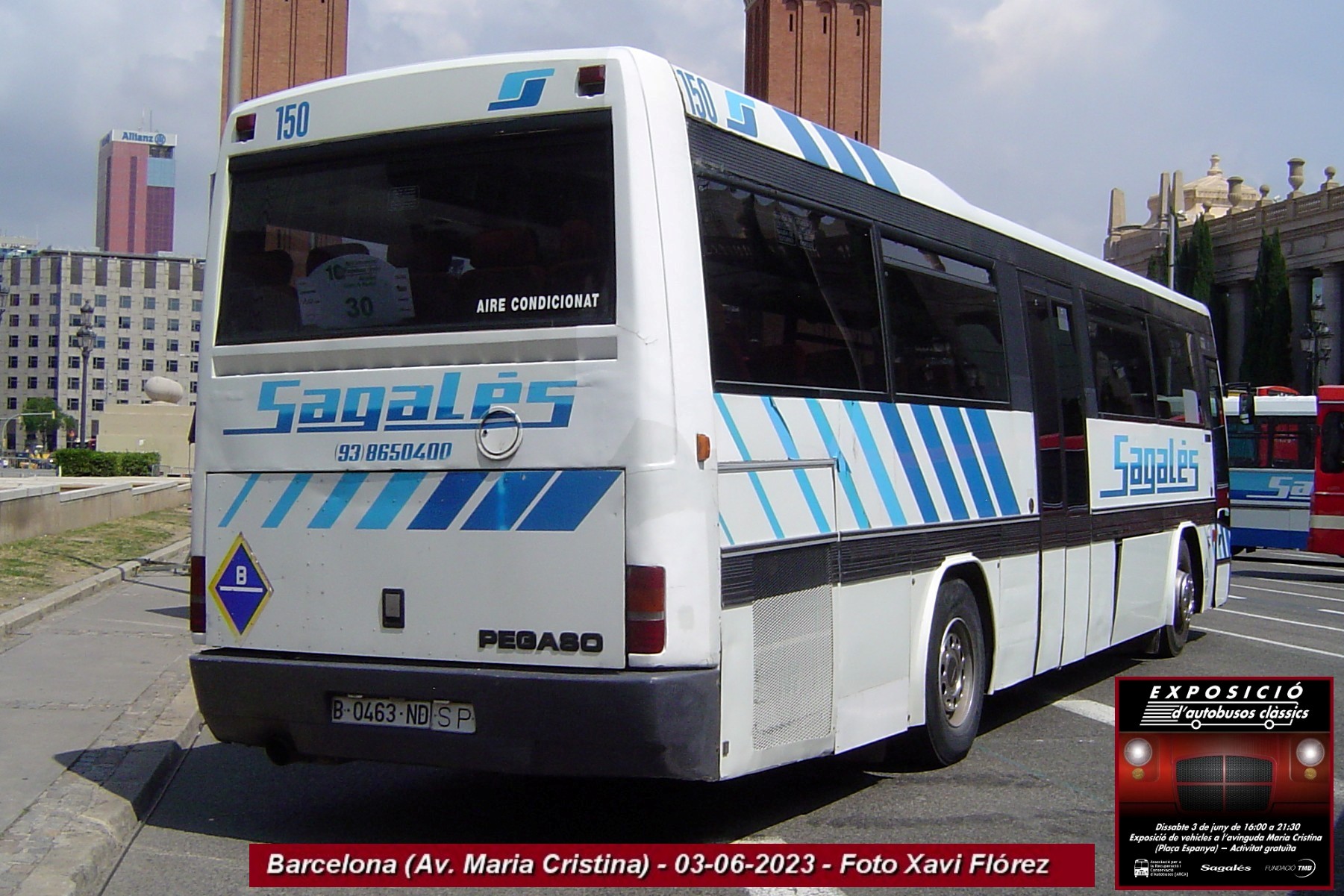 icon-24_2_DSC00234.JPG